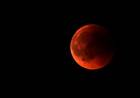 EL ECLIPSE TOTAL DE LUNA ENTRA EN CUENTA REGRESIVA: LOS HORARIOS Y A DÓNDE SE VERÁ