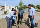ENTREGARON ESPECIES ARBÓREAS AL CONCEJO DELIBERANTE DE LA PUNTA