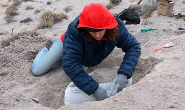 RÍO NEGRO: ENCONTRARON FÓSILES DE MAMÍFEROS QUE EXISTIERON HACE 38 MILLONES DE AÑOS