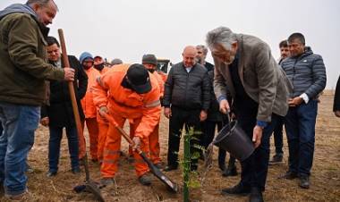 PLANTAN 1500 ÁRBOLES EN EL TRAMO SALADILLO-JUAN LLERENA