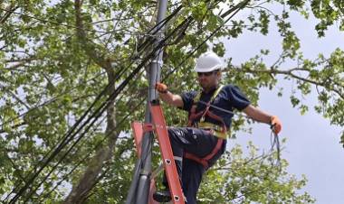 EVALÚAN LOS DAÑOS EN ANTENAS Y TENDIDOS DE FIBRA TRAS LA FUERTE TORMENTA