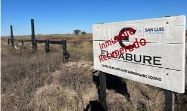 SIGUEN APARECIENDO FUNCIONARIOS INVOLUCRADOS