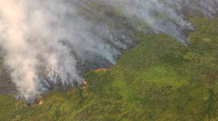EL GOBIERNO OFRECIÓ AYUDA A CORRIENTES 16 VECES ANTES DE QUE SE DESBORDEN LOS INCENDIOS Los documentos que desmienten a Macri