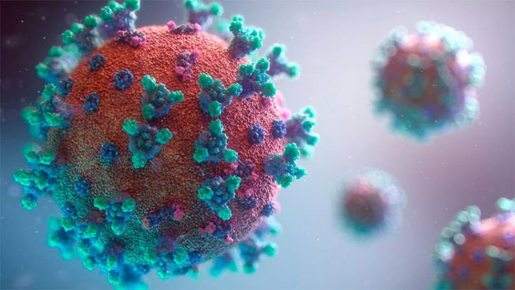LA OMS PREVÉ UN ESCENARIO DONDE EL CORONAVIRUS EVOLUCIONE PERO PIERDA FUERZA DEBIDO A QUE LA POBLACIÓN SE VA INMUNIZANDO