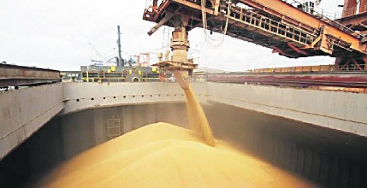 CEREALERAS: COMO PAGAN MENOS DERECHOS DE EXPORTACION