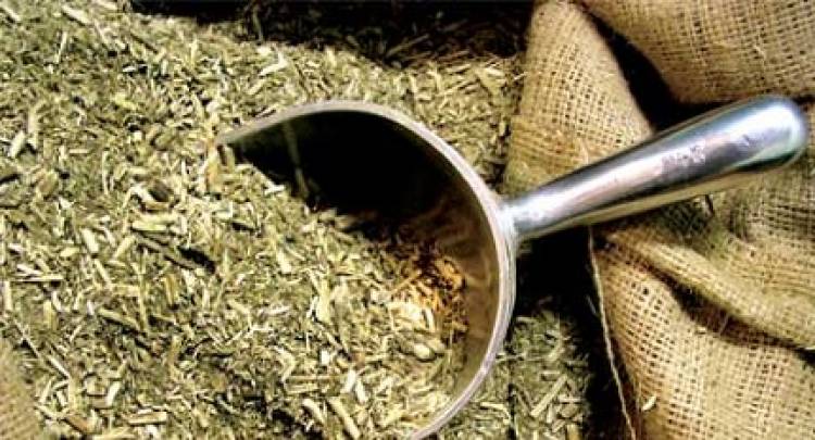 BRASIL PIDE AUMENTAR CONTAMINANTES EN LA YERBA MATE