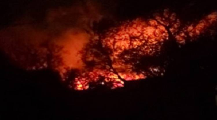 COMBATEN UN VORAZ INCENDIO EN CARPINTERÍA