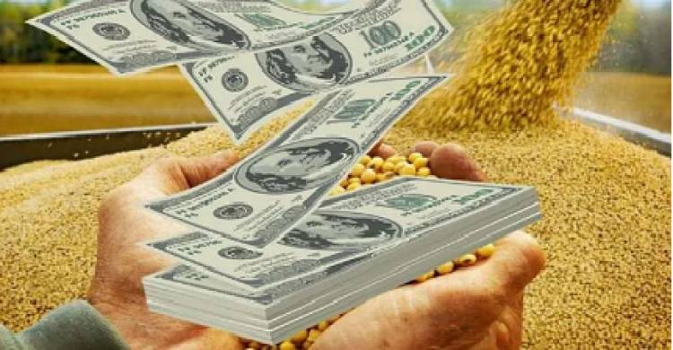 HAY 14 MIL MILLONES DE DÓLARES EN SILOBOLSAS. ESPECULACIÓN DE LOS SOJEROS