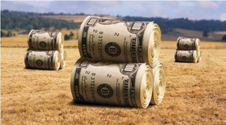 DETRÁS DE LA CORRIDA DEL DÓLAR ESTÁN LOS ESPECULADORES DEL AGRO