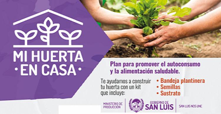 “MI HUERTA EN CASA”, PARA FOMENTAR EL AUTOCONSUMO FAMILIAR