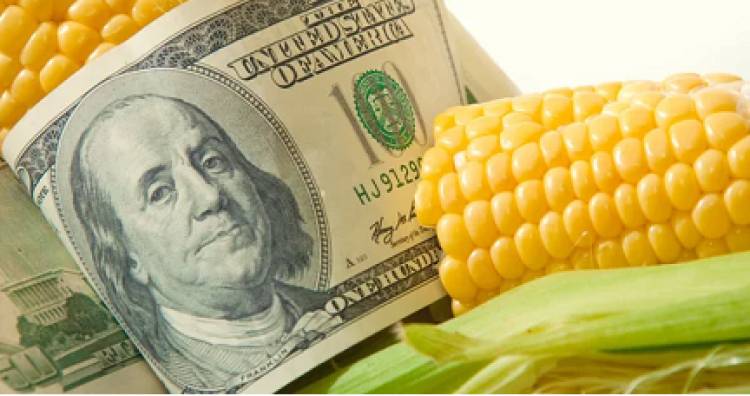 LA MESA DE ENLACE QUIERE AHORA EL "DÓLAR MAÍZ"