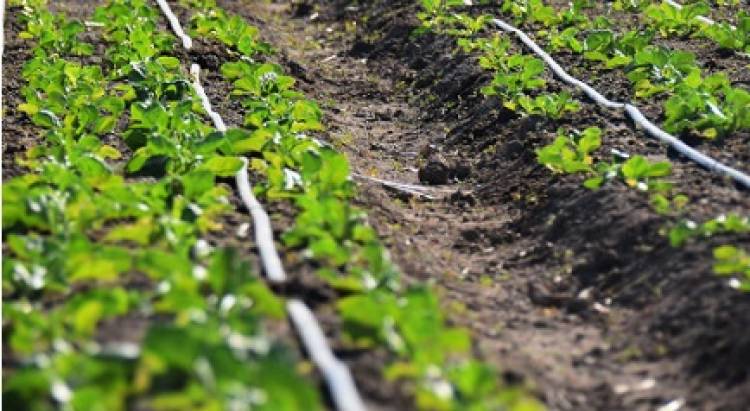 COMENZÓ LA INSCRIPCIÓN AL PLAN BUENAS PRÁCTICAS RURALES