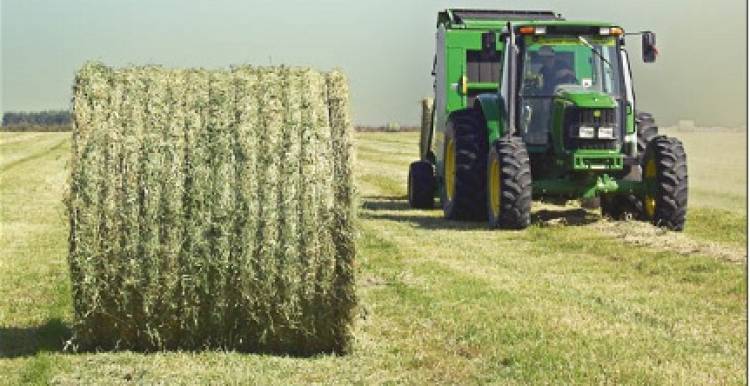 LA 2° EXPOALFALFA SERA EN MARZO