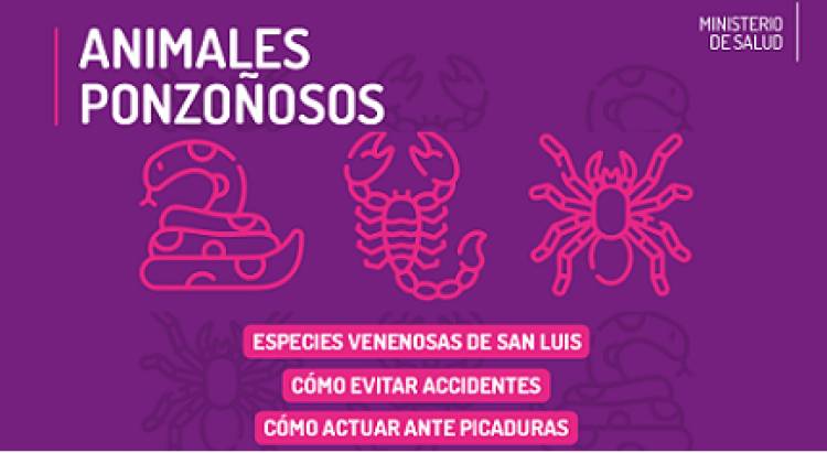 LOS ACCIDENTES CON ANIMALES PONZOÑOSOS GENERALMENTE SUCEDEN EN VERANO