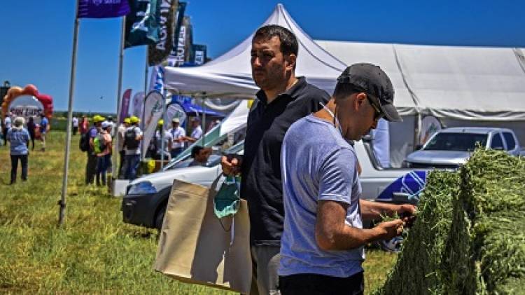LA EXPO ALFALFA YA REGISTRÓ MÁS DE 340 INSCRIPTOS