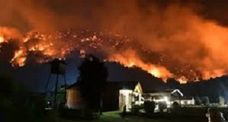 INCENDIOS EN LA PATAGONIA: UNA EMERGENCIA FORESTAL SIN PRECEDENTES